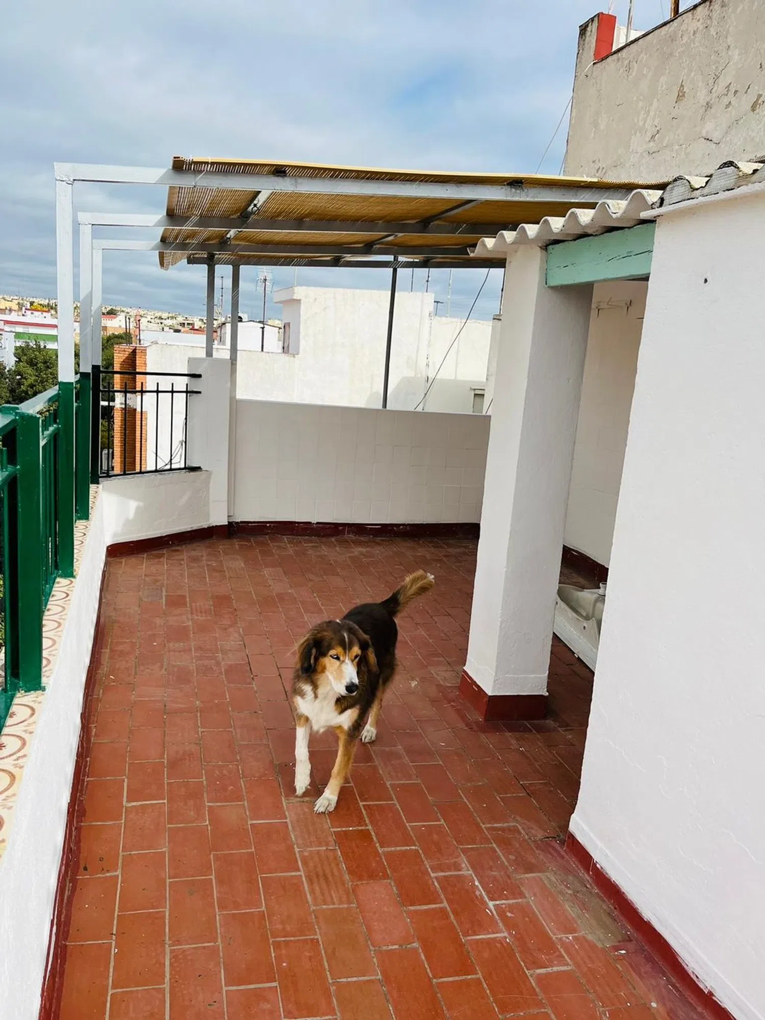 Ático en avenida de los Almogávares, 46 - Foto 7