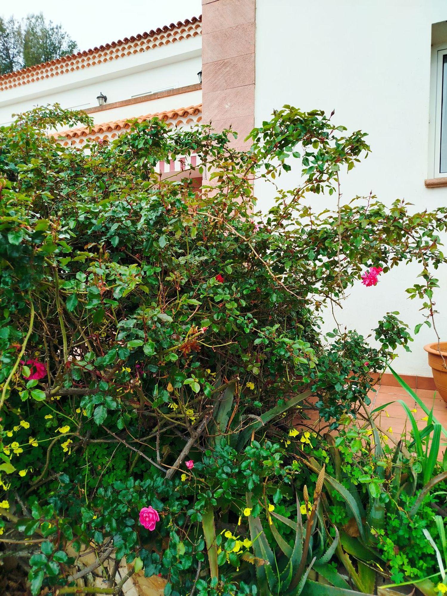 Casa independiente en Tf-274, 33 - Foto 1