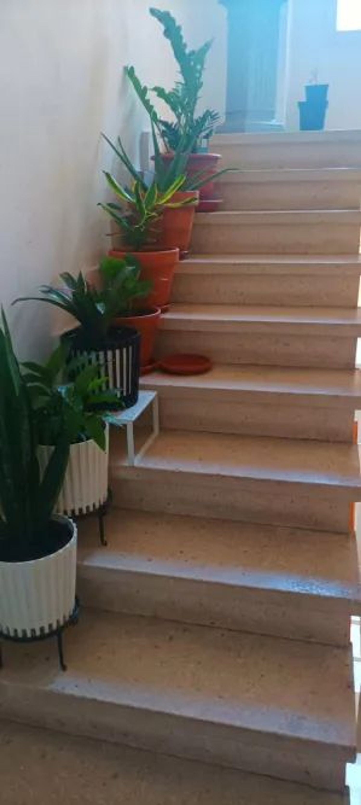 Piso en calle de Sicilia, 46 - Foto 57