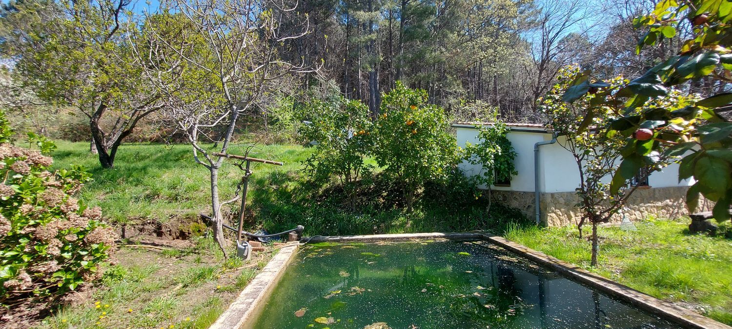 Casa o chalet independiente en Carretera Forestal de la Pregonera, 924 Av - Foto 11