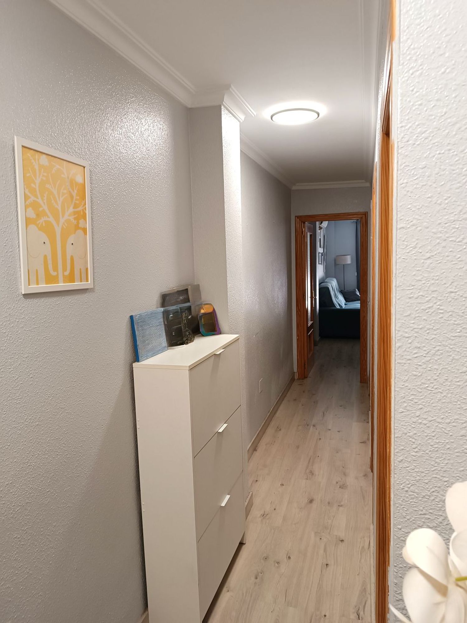 Piso en Calle Alcudia de Monteagud, 3, Barrio San Luis - Los Molinos, Barrio San Luis - Los Molinos - Foto 14