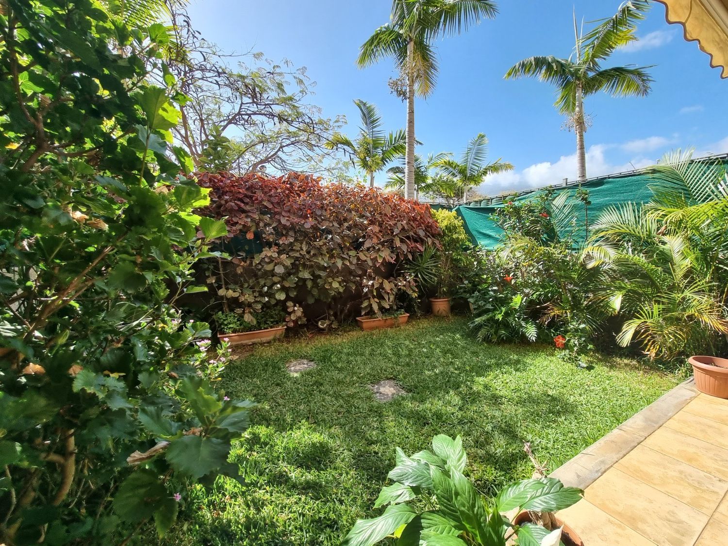 Piso en avenida los Cachazos, 1 - Foto 4