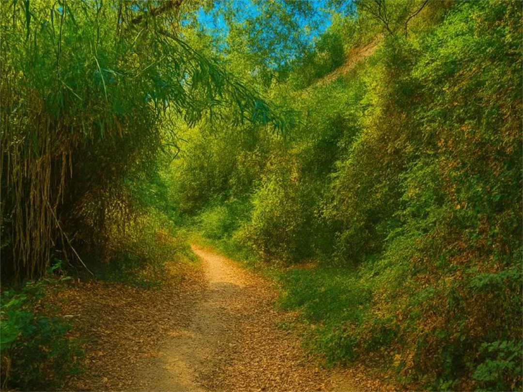 Chalet en  Urbanizacion Parque Botanico las Lomas de Guadalmi 5 - Foto 33