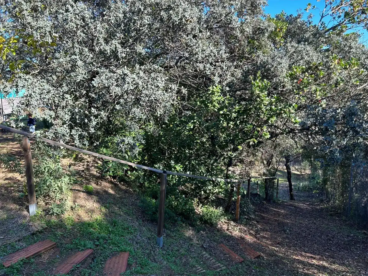 Finca rústica en  Camino Carrascoso Siete Fincas 180D - Foto 7