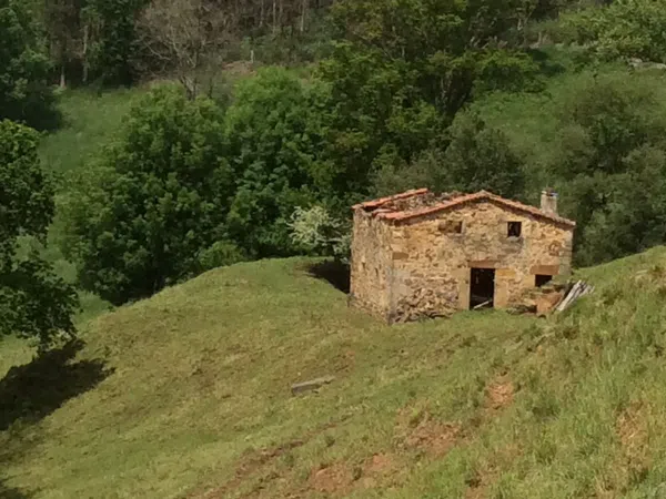 Finca rústica en Avenida Alisas, 5 - Foto 12