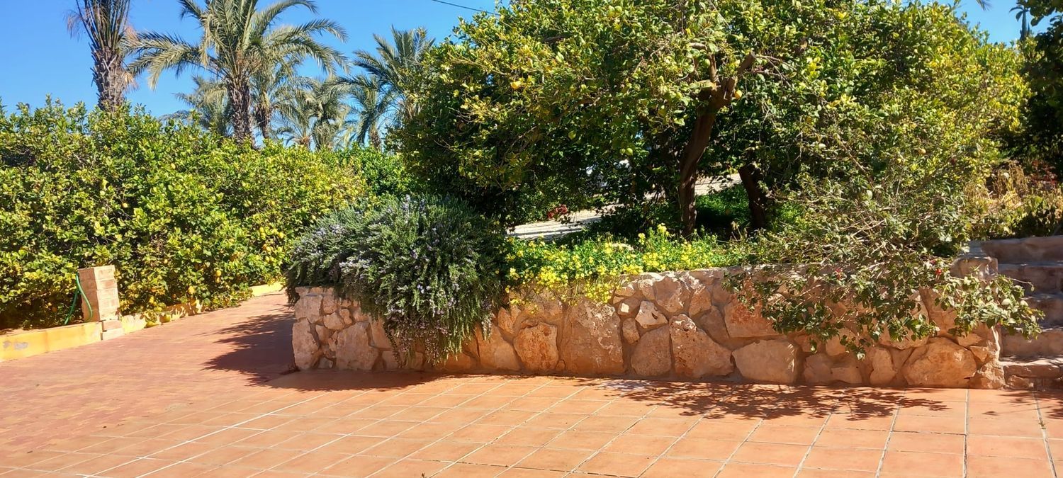 Finca rústica en calle Don Adrián, 1506 - Foto 11