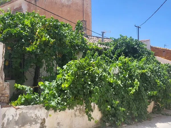 Casa rural en Calle Caid Al-Mandari, 48 - Foto 15