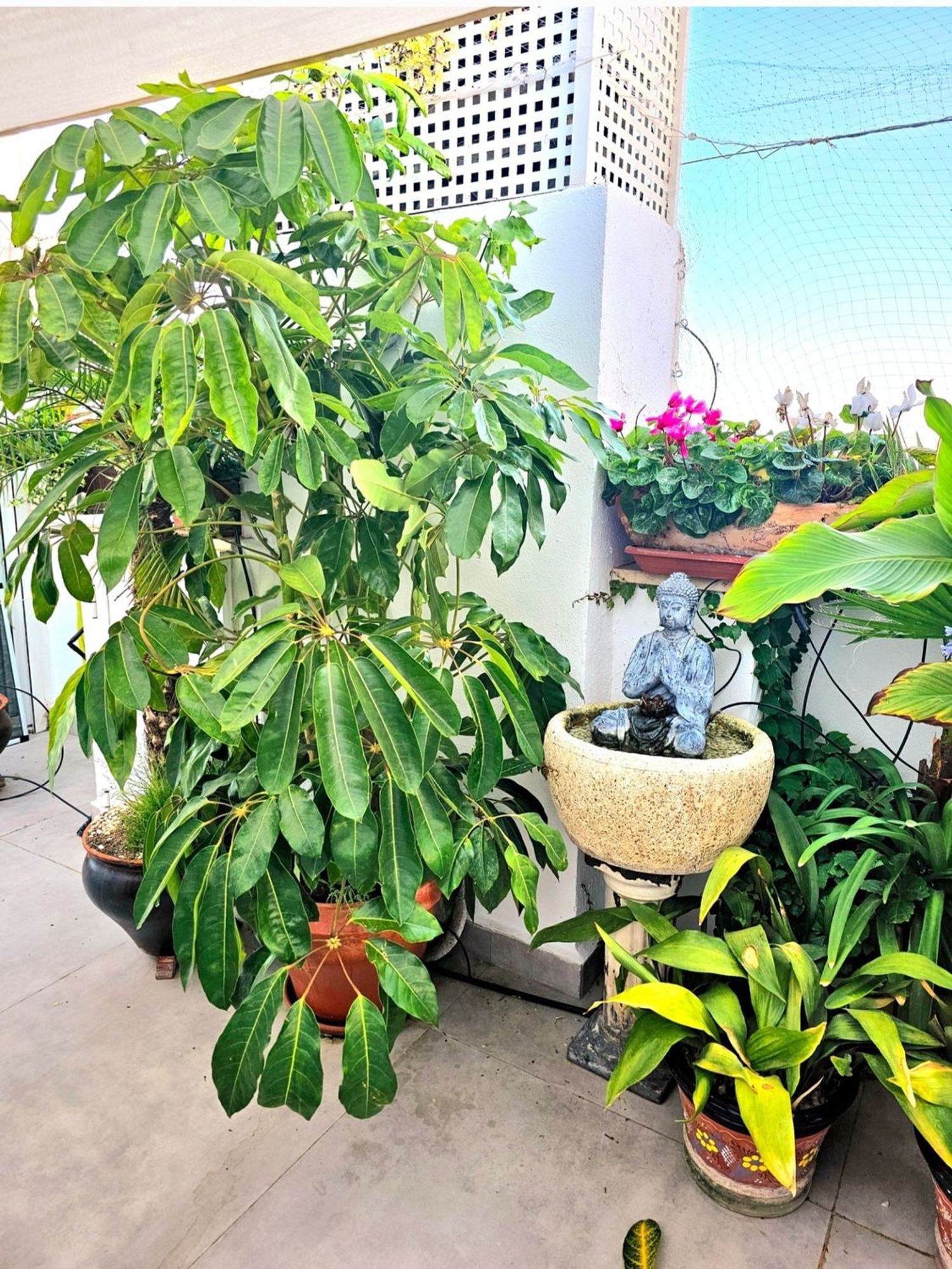 Ático en Alcalá, 2 - Foto 15