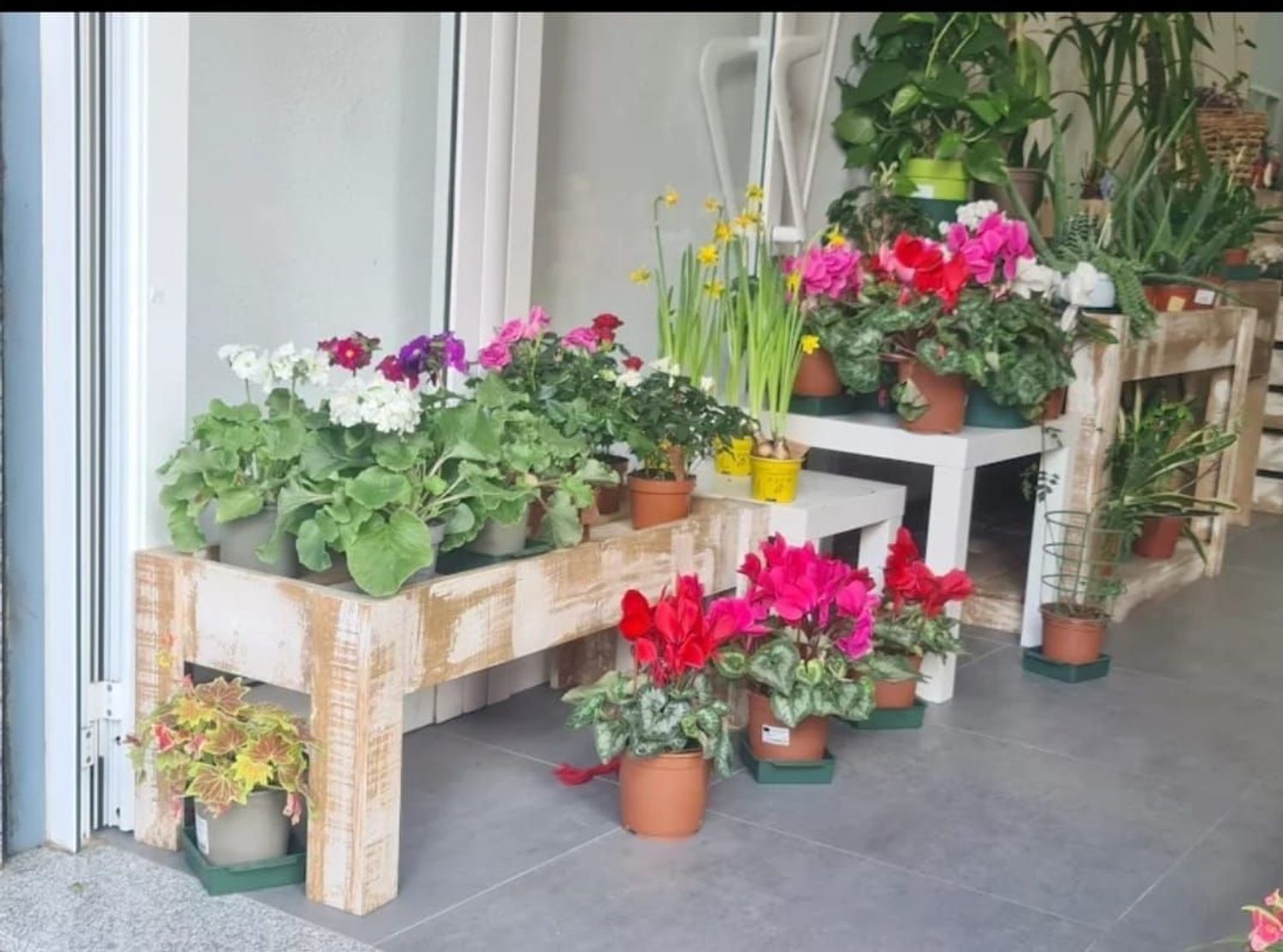Local en Floristería en Eixample, Eixample - Foto 4