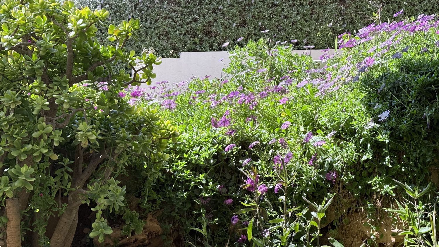 Piso en calle Benito Jerónimo Feijóo, 4 - Foto 14