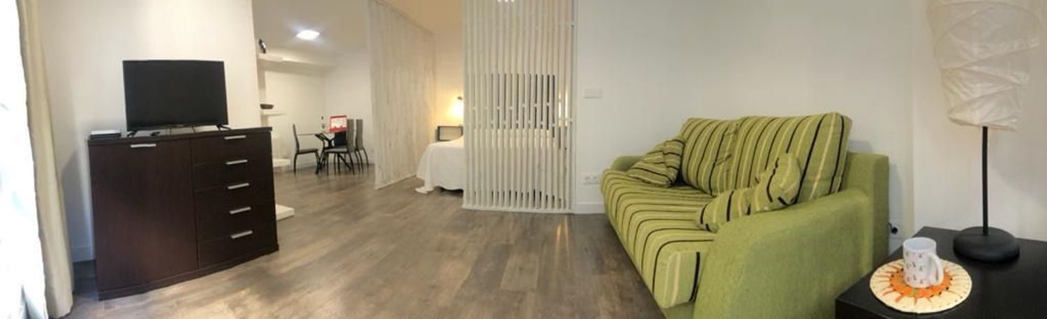 Estudio en Calle Miguel Artigas, 8 - Foto 3