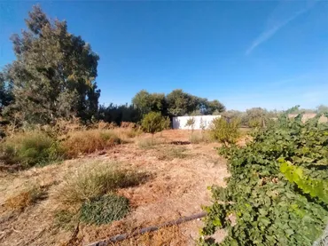 Finca rústica en  Carretera de la Estación 32 - Foto 6