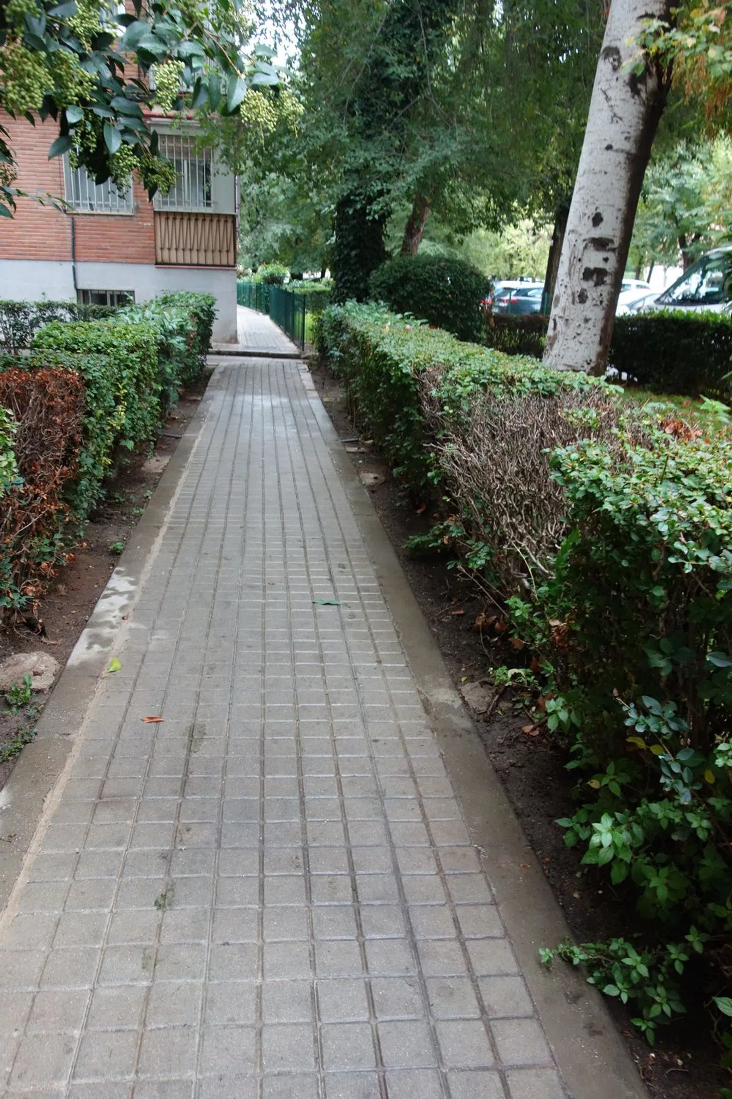 Piso en Barrio Lucero - Foto 30