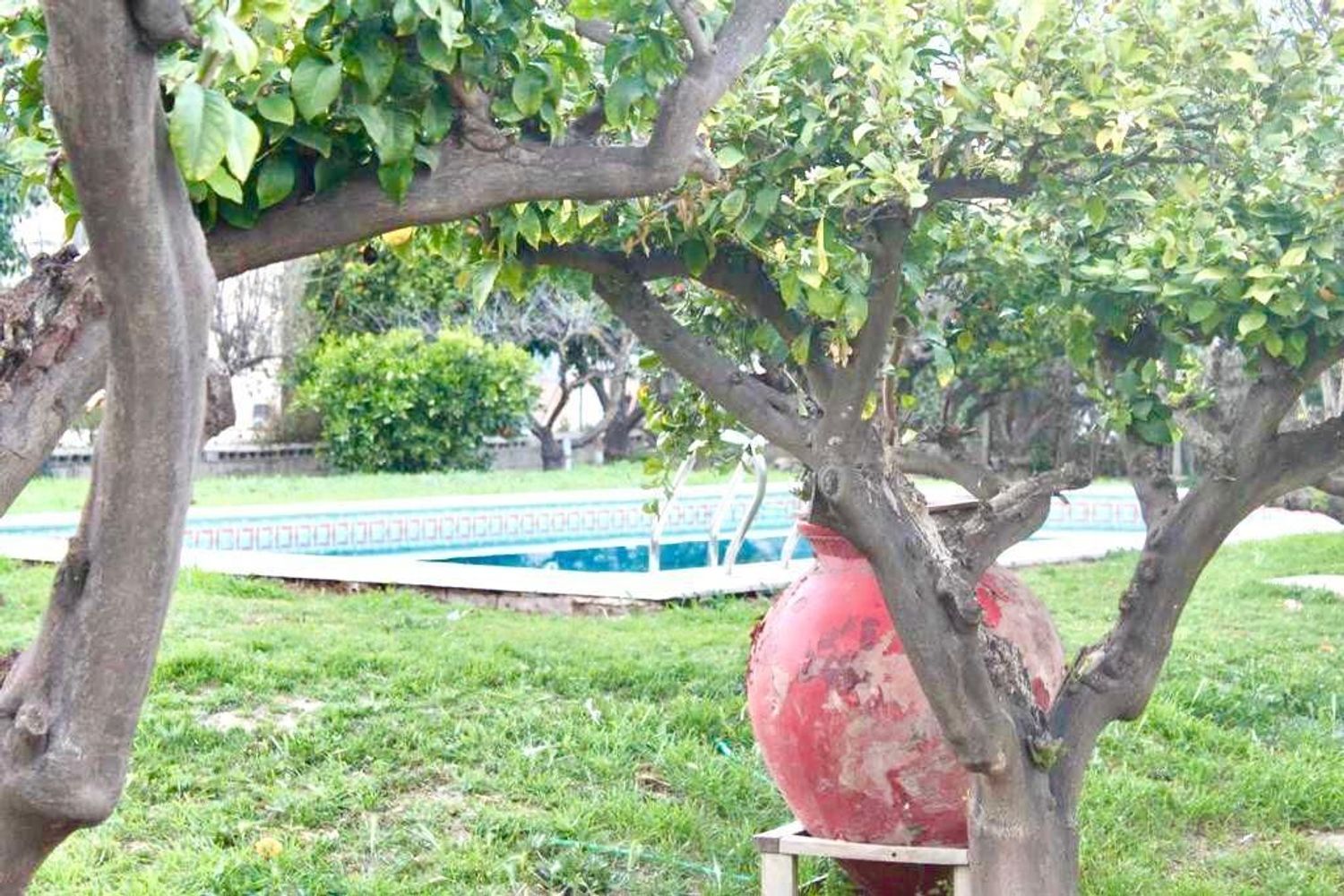 Casa independiente en carril Campillos, 1 - Foto 7