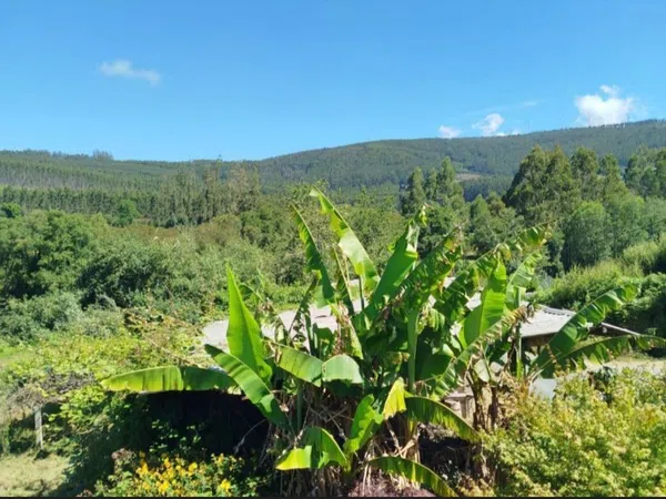 Finca rústica en A felgueira s/n - Foto 18