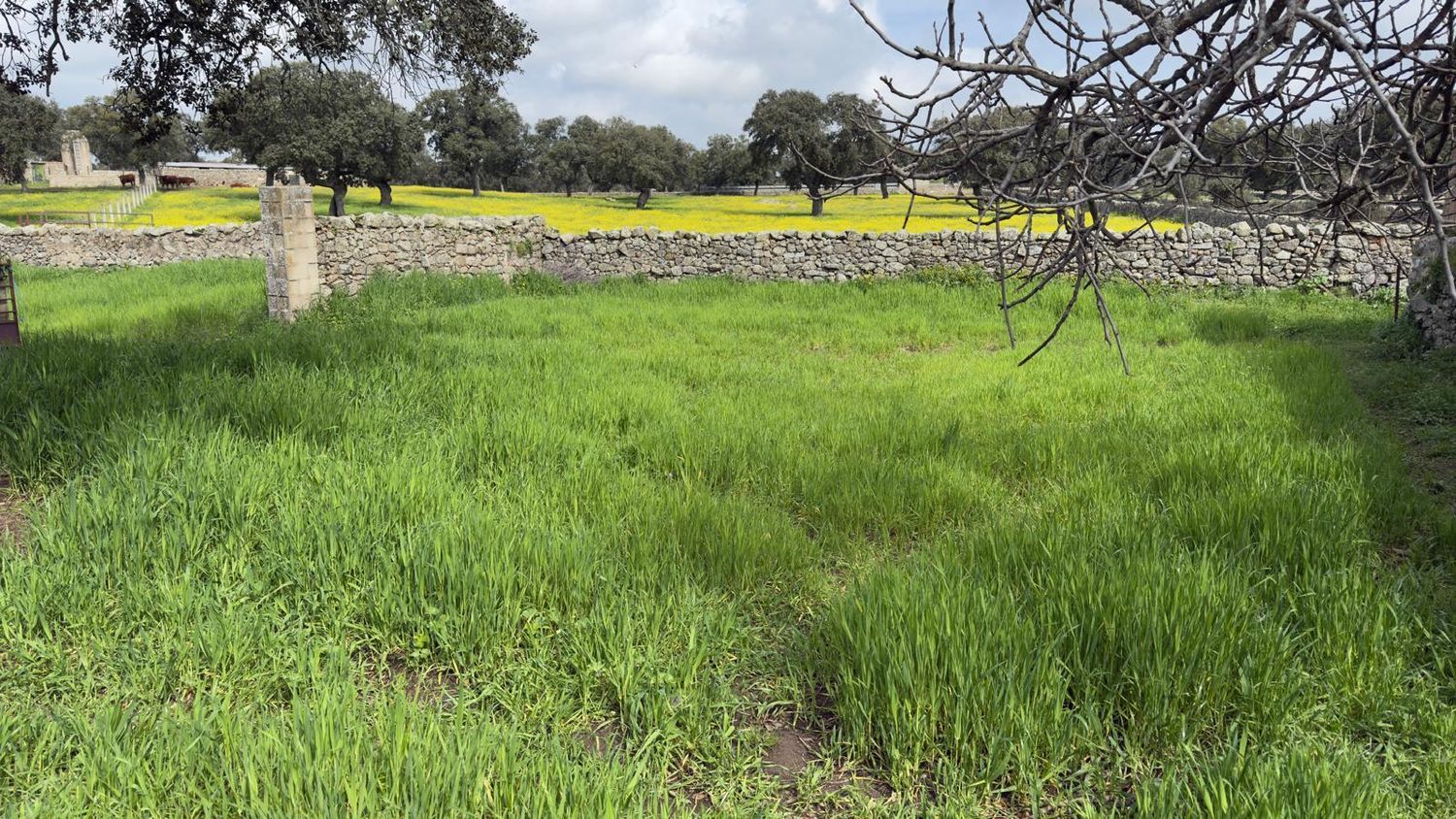 Cortijo en A-424, 34 Km - Foto 6