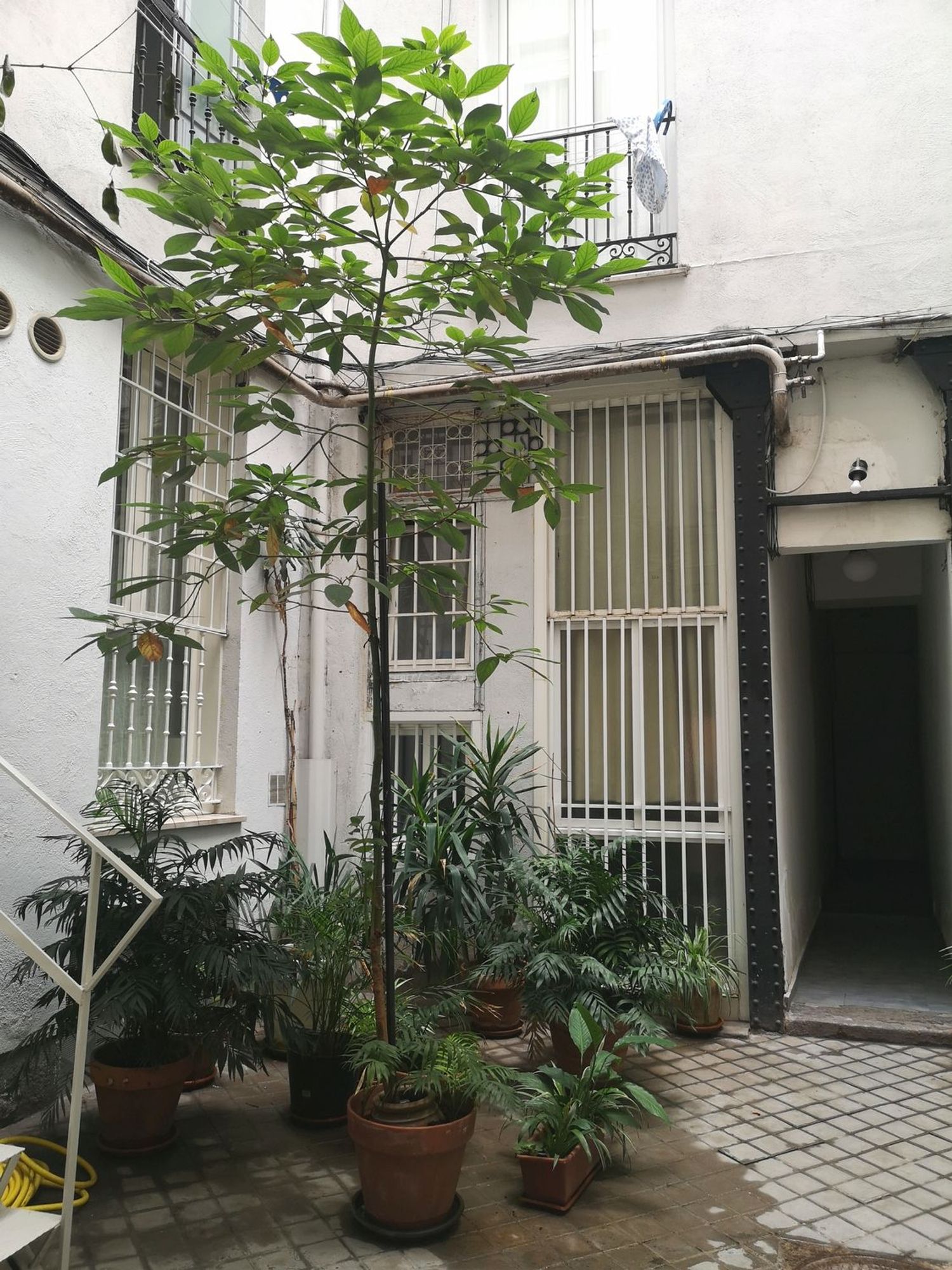 Piso en Calle Barbieri, 3, Chueca-Justicia - Foto 22