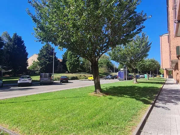 Piso en Calle Matilde de la Torre, 25, Roces - Foto 11