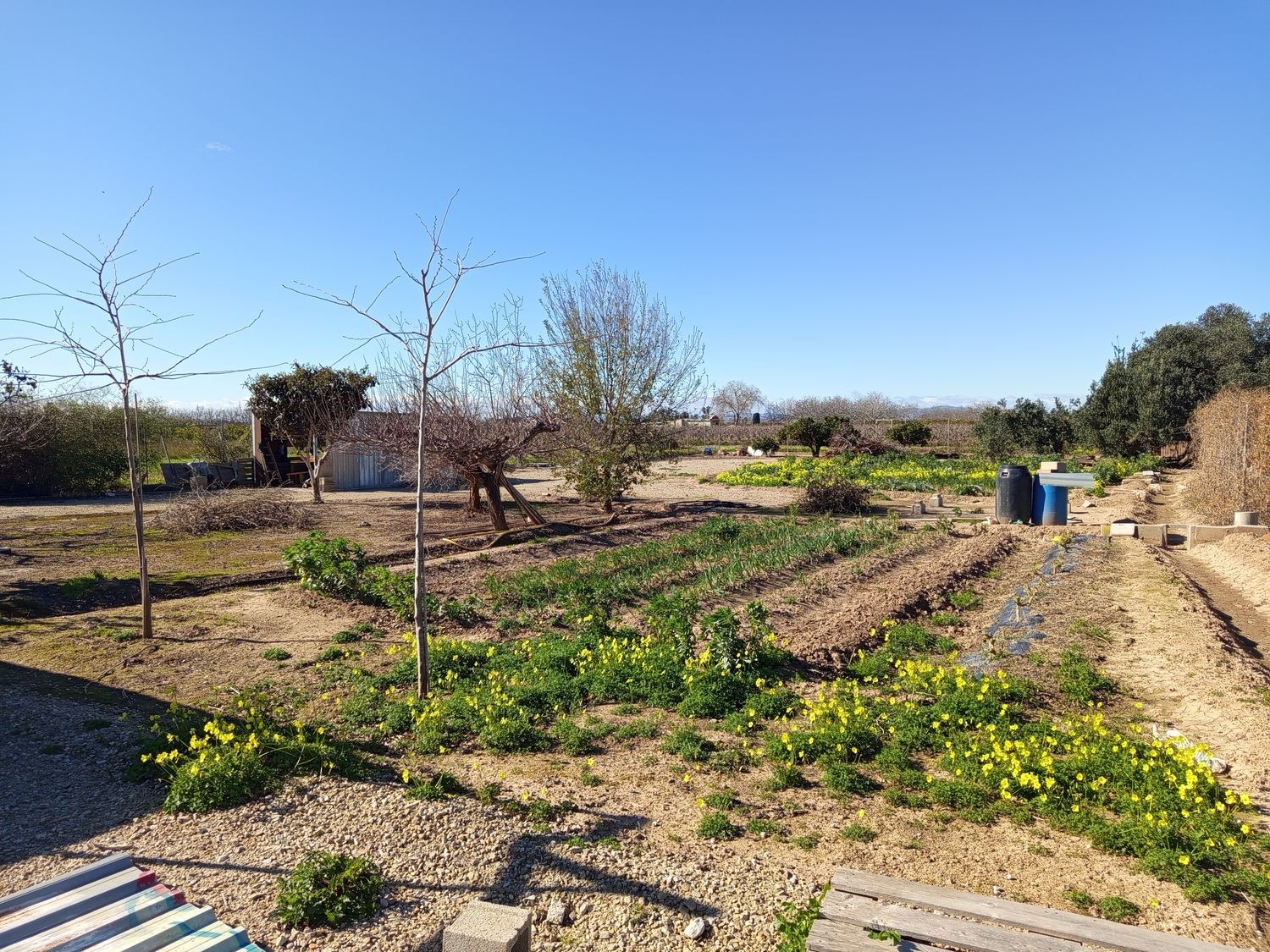 Finca rústica en plaza de Sant Isidre, 15 - Foto 23