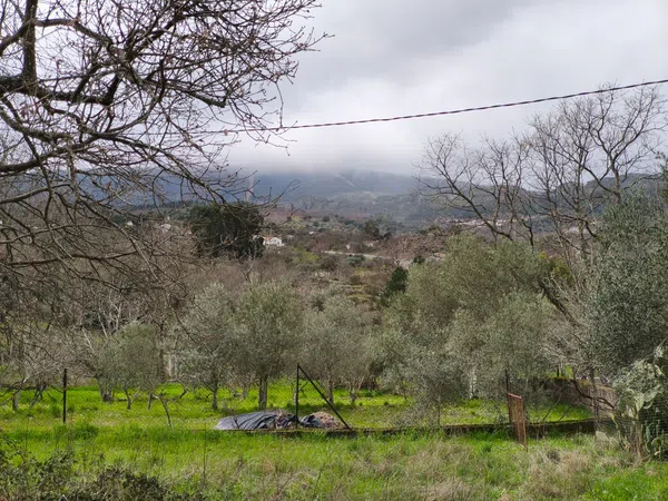 Finca rústica en Poblado los Arroyos de Abajo, 39 poligonoparcela - Foto 32