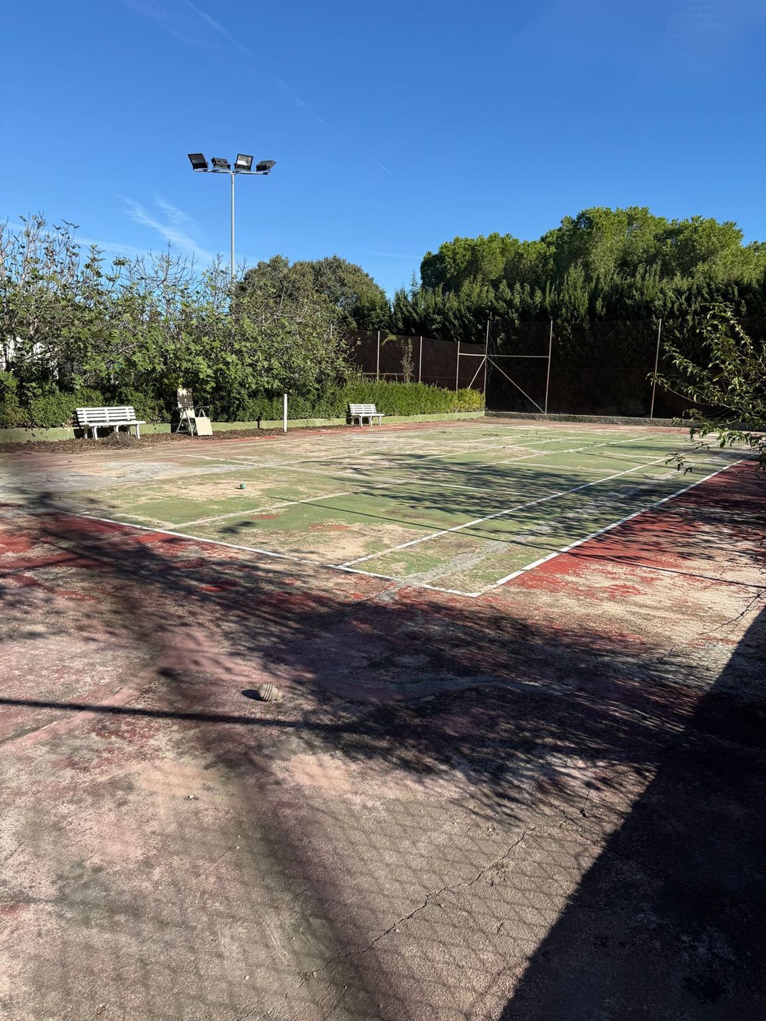 Finca rústica en T-350 s/n - Foto 37