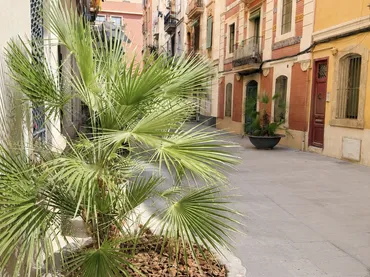 Piso en  Carrer dels Safareigs 12 - Foto 11