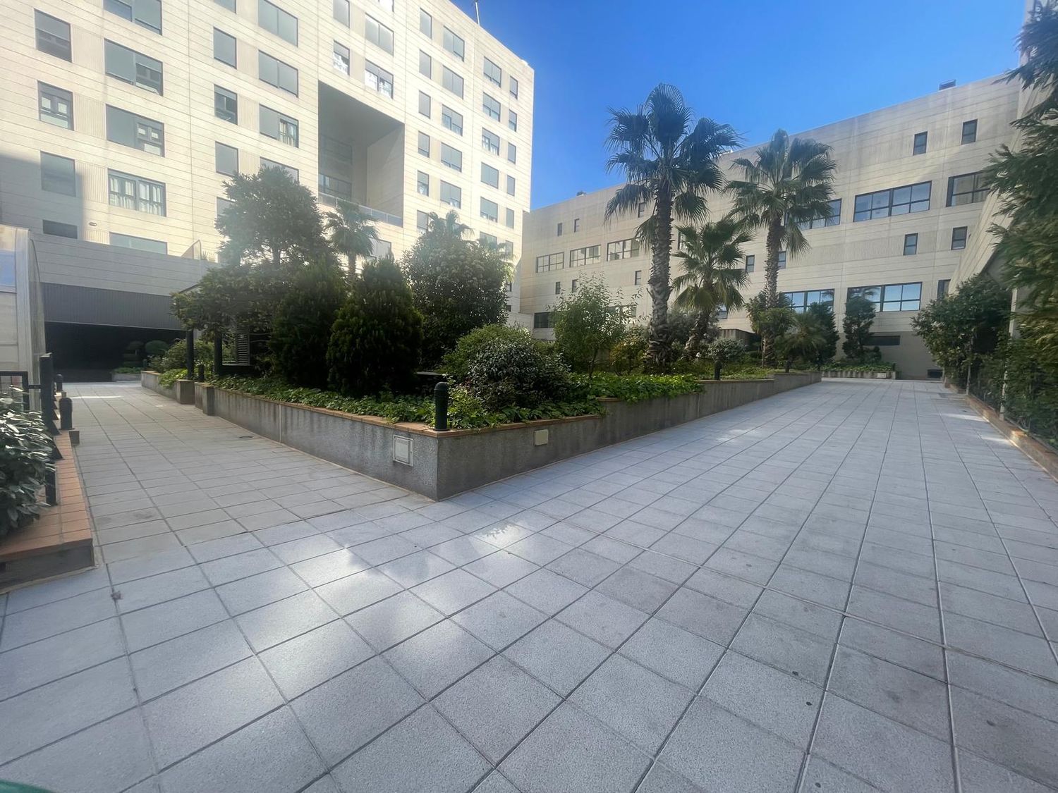 Piso en Avenida de la Constitución, 85 - Foto 3