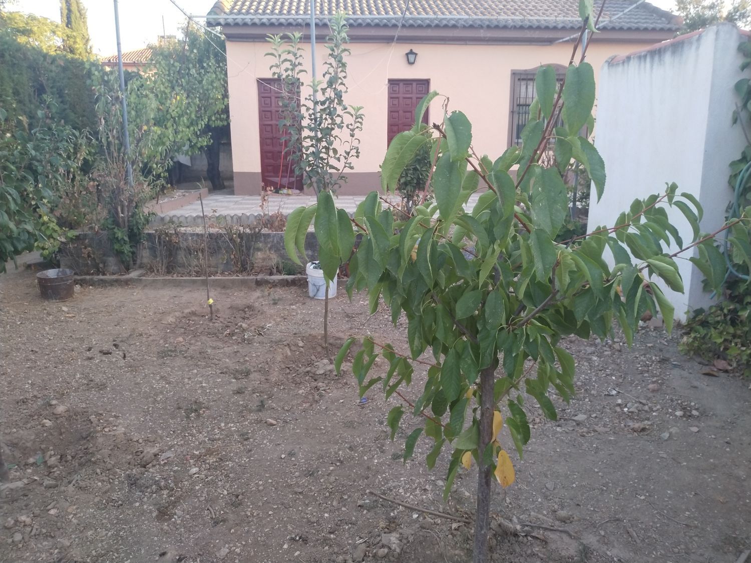 Casa o chalet independiente en Urbanizacion los Alijares s/n - Foto 11