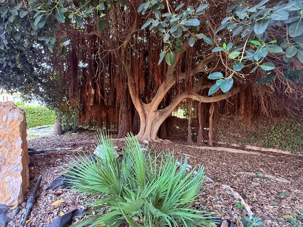 Chalet adosado en Calle Pluton, 11, La Florida - Foto 25