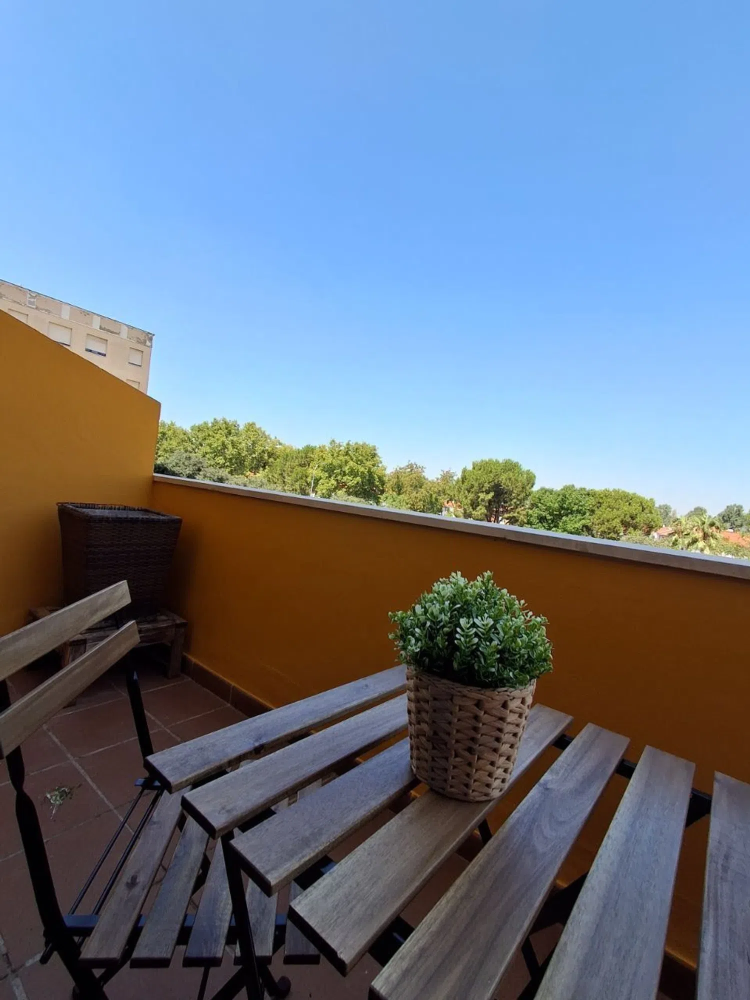 Estudio en calle Casuarina, 1 - Foto 19