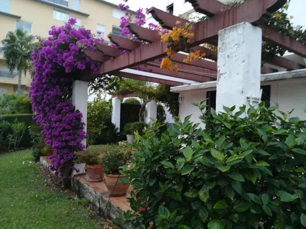 Piso en avenida del Carmen, 65 - Foto 6