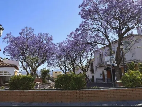 Casa independiente en plaza Mayor, 2 - Foto 2