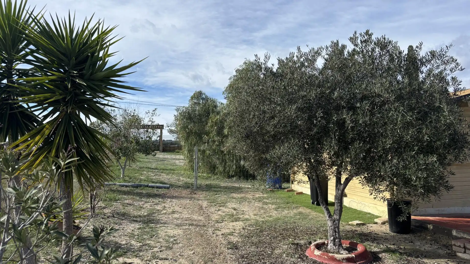 Finca rústica en  Calle Fc Ladrillo 11 - Foto 10