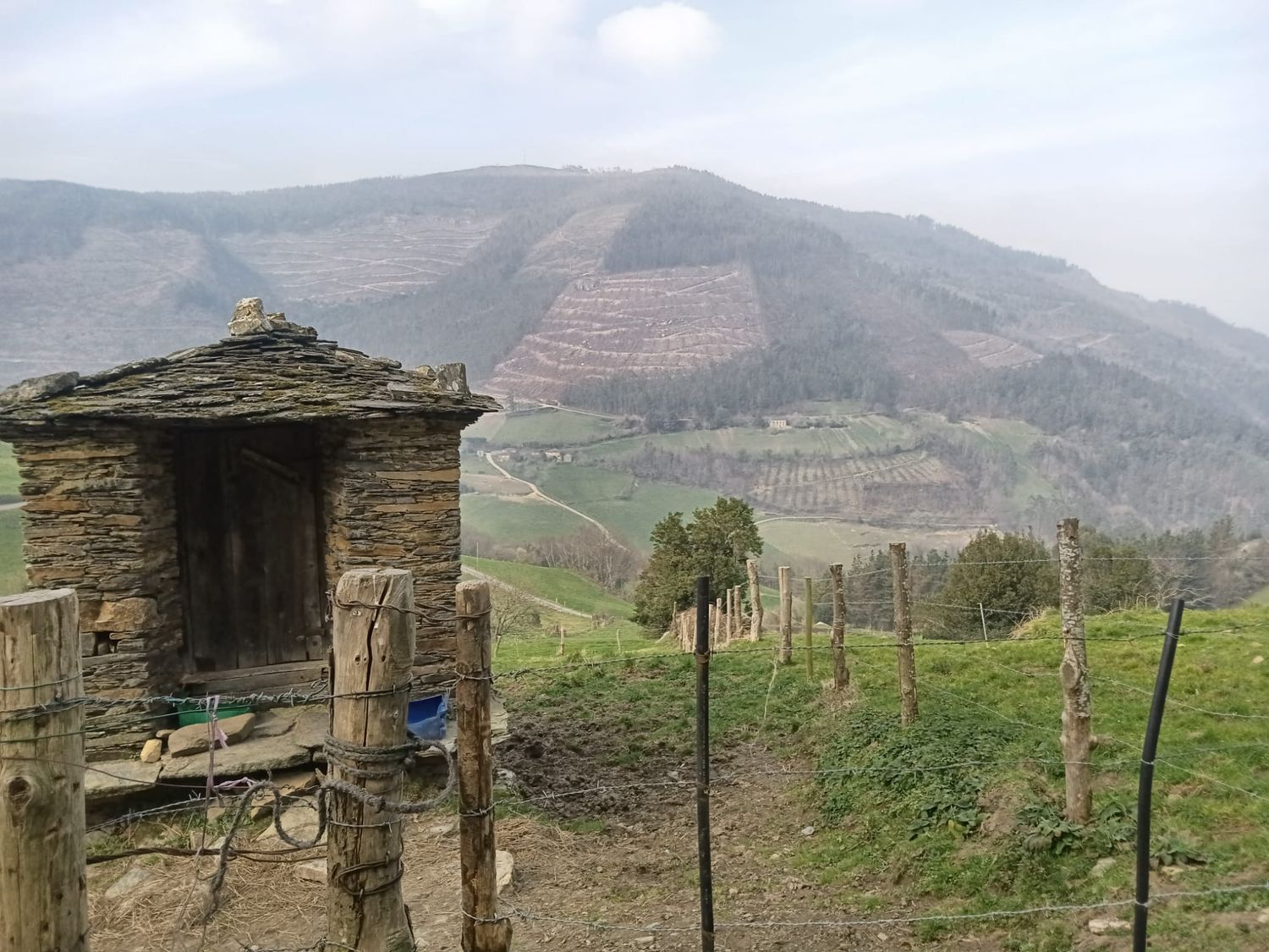 Casa de pueblo en Molejon s/n - Foto 6