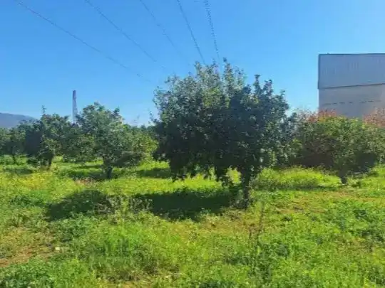 Piso en  Carretera Palma del Río km 10 - Foto 8
