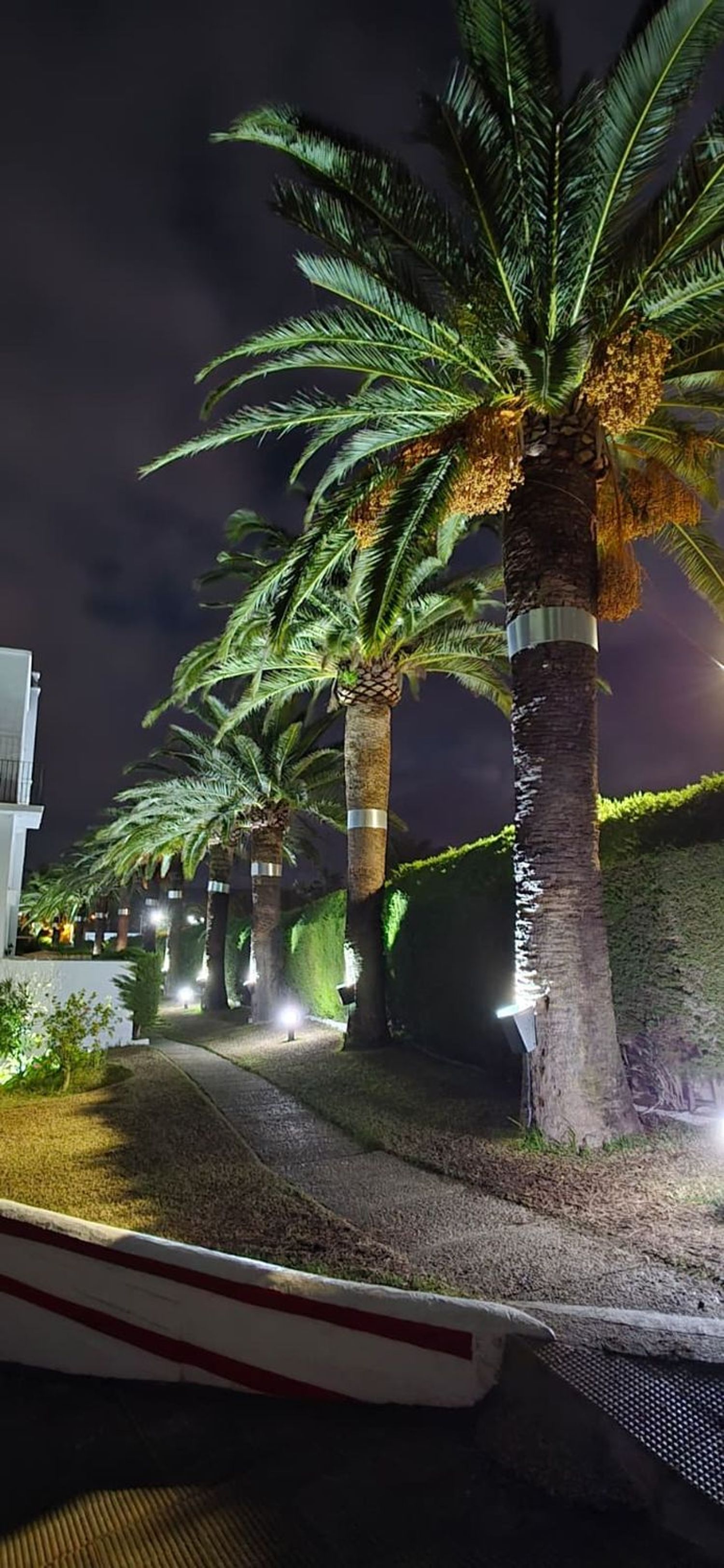 Estudio en Cabo De Plata, 2 , portal 7, planta segunda - Foto 24