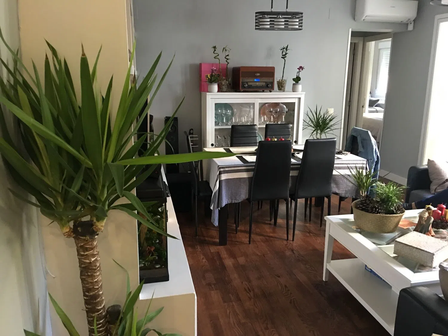 Piso en avenida Quinta, 4 Nmero - Foto 15