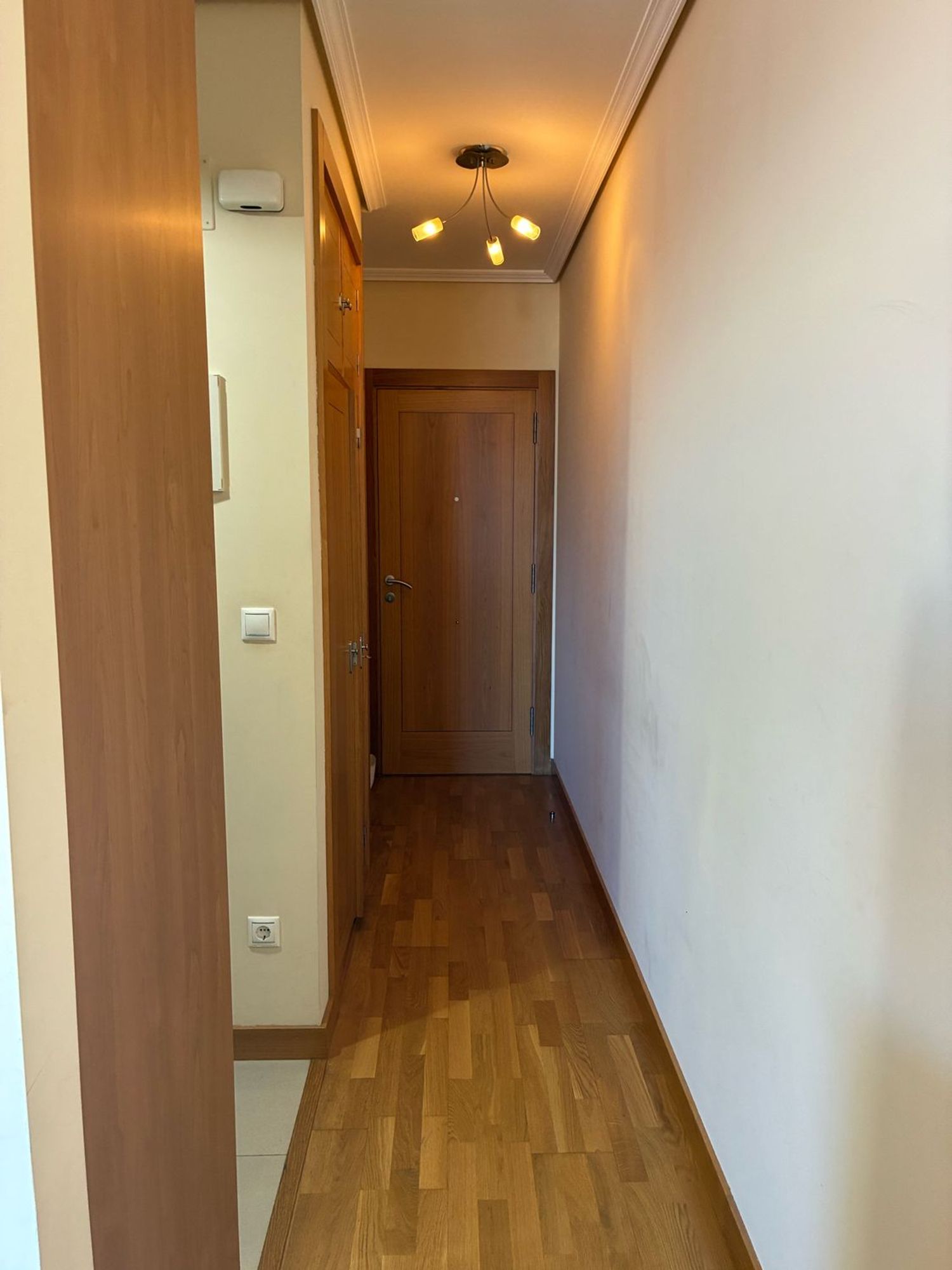 Estudio en Calle Lepanto, 9, Centro - Areal - Foto 15