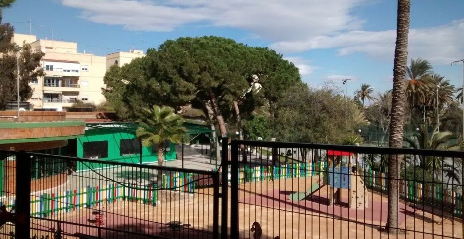 Piso en Calle Deportista Joaquin Blume, 9, El Palmeral-Urbanova-Tabarca - Foto 9