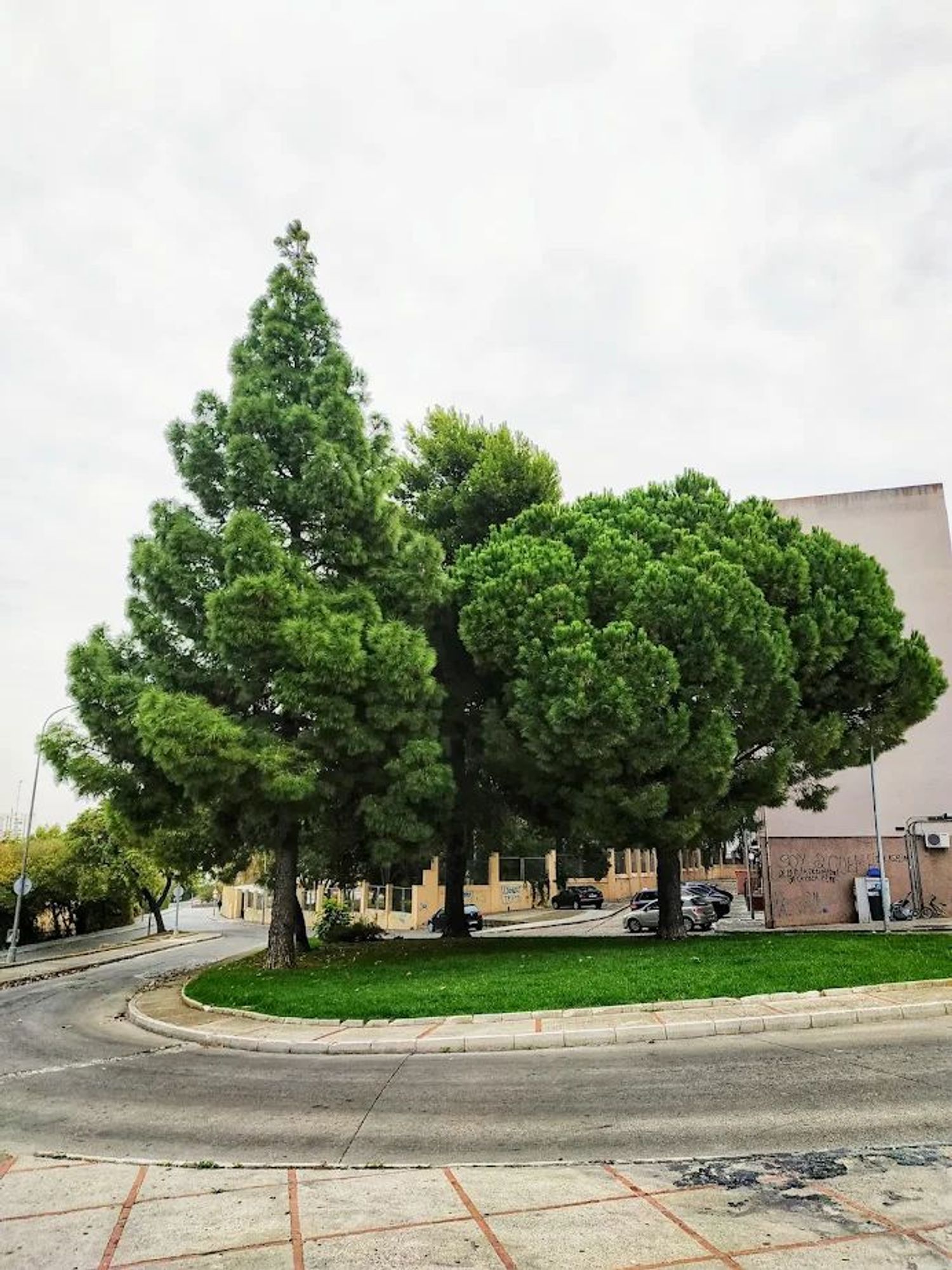 Dúplex en Calle Micaela Parada, 1, Santiago - Coronación - Foto 5