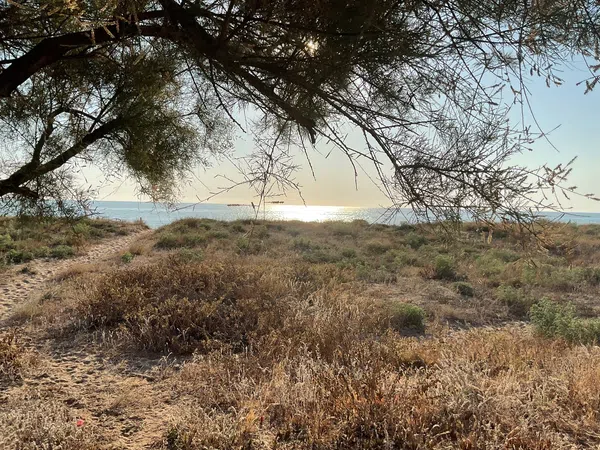 Casa independiente en plaza Marenys Sector 2-b, 523 C - Foto 23