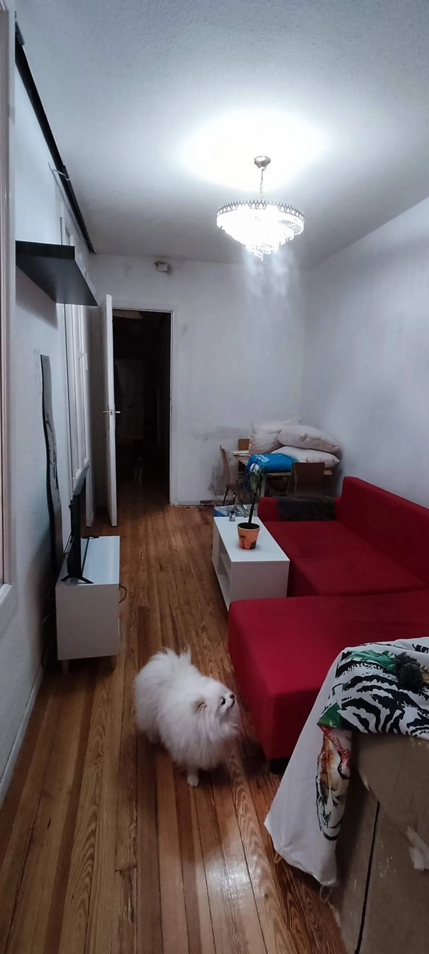 Piso en Barrio Arapiles - Foto 24