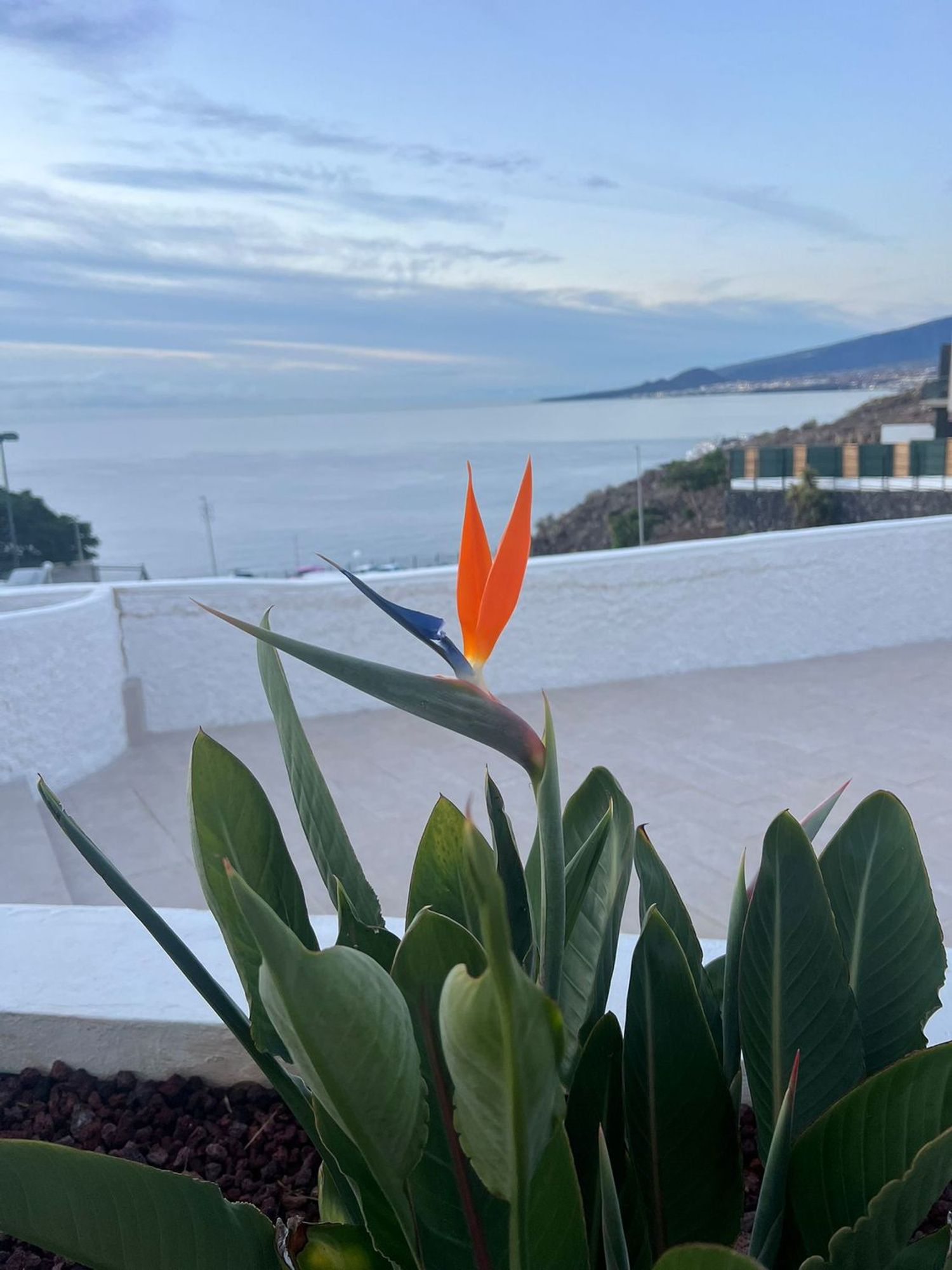 Chalet adosado en avenida Marítima, 36 - Foto 12