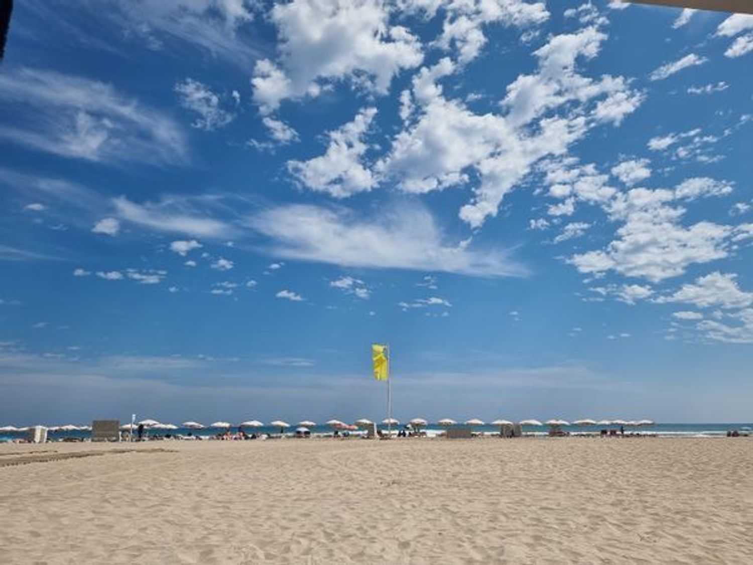 Piso en avenida Artista Remigio Soler López, 9 - Foto 22