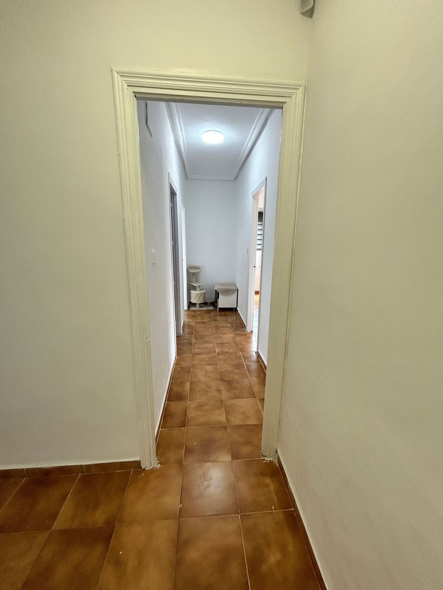 Piso en Calle Miguel Hernández, 1 - Foto 6