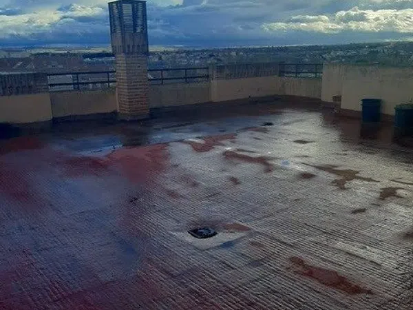 Ático en Calle San Pablo, 1 - Foto 27