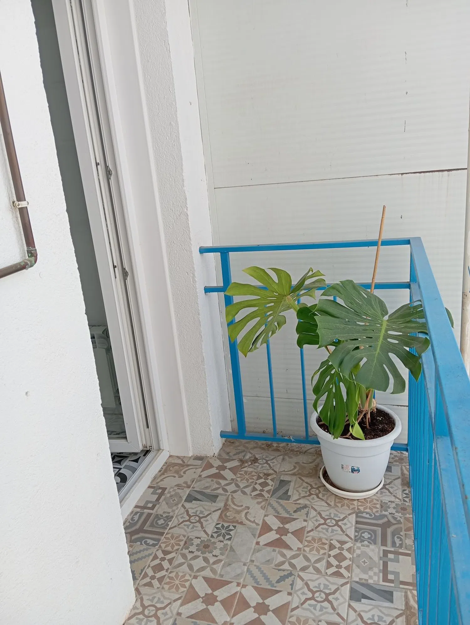 Piso en calle Arbolillos, 1 b - Foto 31