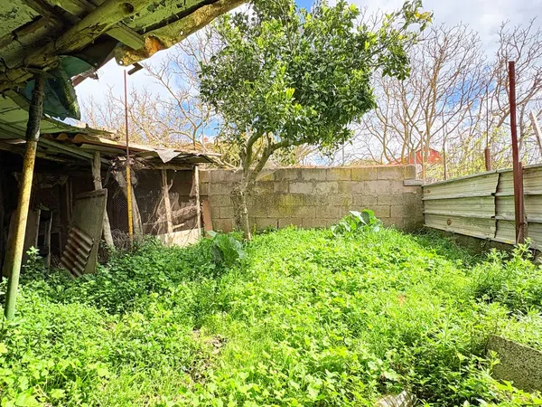 Casa independiente en calle Doctor Caldera, 25 - Foto 14