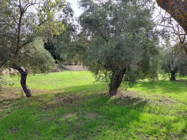 Casa de pueblo en Banyeres de Mariola - Foto 18