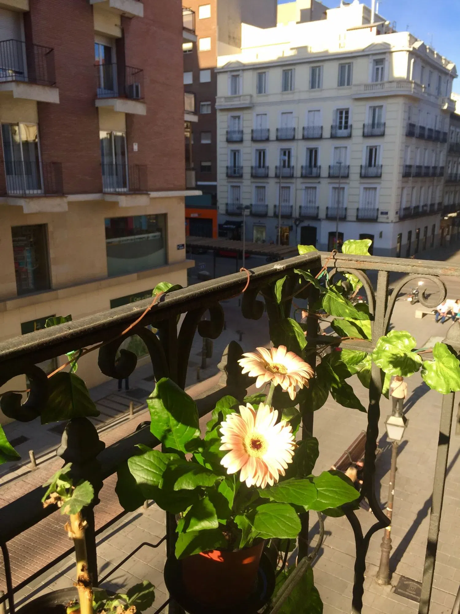 Estudio en calle de Sandoval, 3 - Foto 15